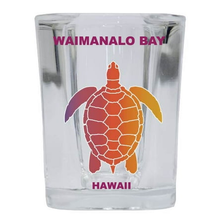 

WAIMANALO BEACH Square Shot Glass Rainbow Turtle Design