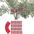 thumbnail image 1 of 30pcs Plant Bender Elbows Tomato Clips Low Stress Training Plant, 1 of 3