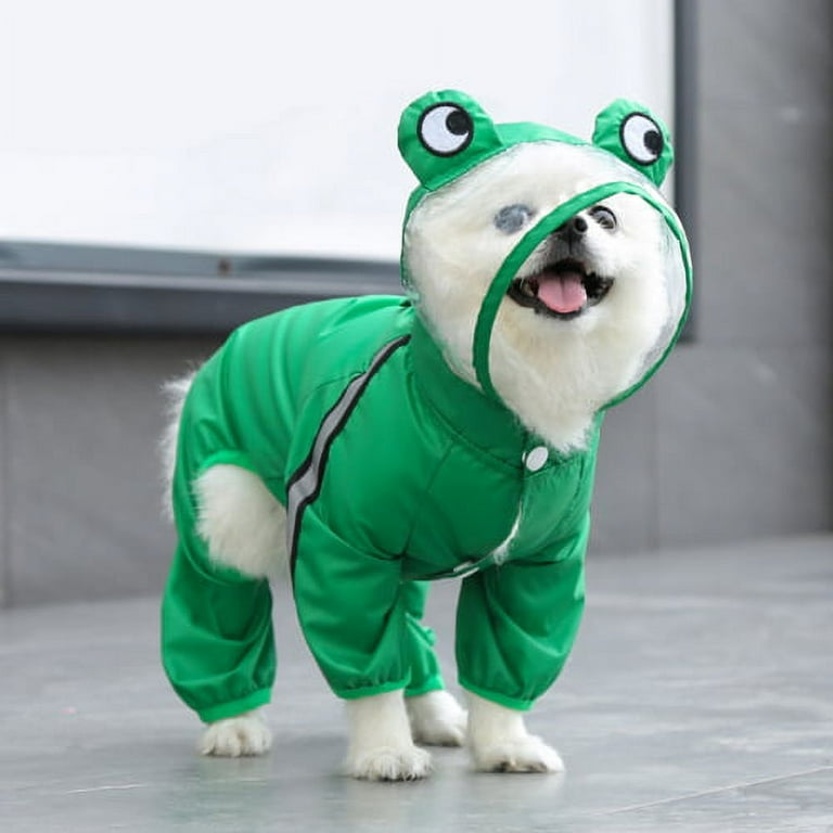 Frog 2025 dog raincoat