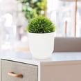 thumbnail image 3 of SHISUYAN White Self Watering Flower Pots with Conductive Rope for Display Plastic Plant Container 2 Pieces, 3 of 8