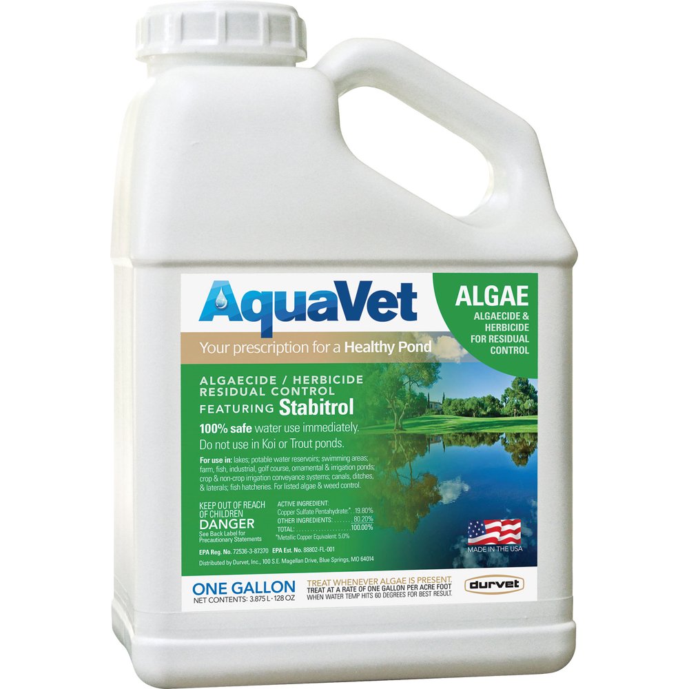 ALGAE CONTROL 1GAL 4