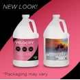 thumbnail image 2 of Froggy's Fog Velocity, 4 Gallon Case, 2 of 4