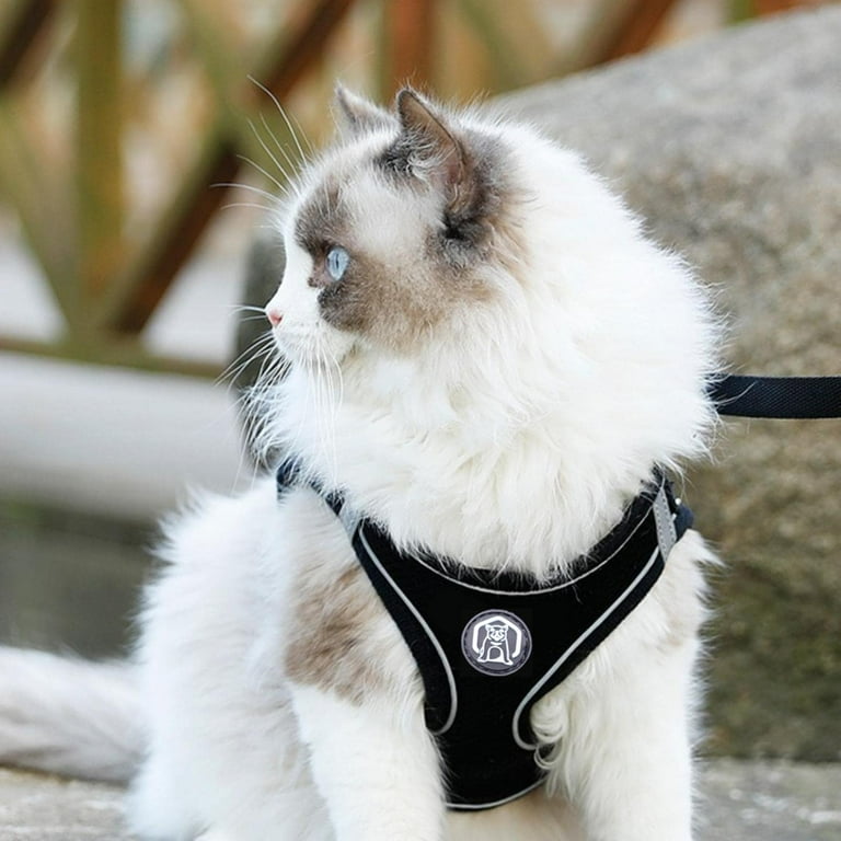 Easy walk cat clearance harness