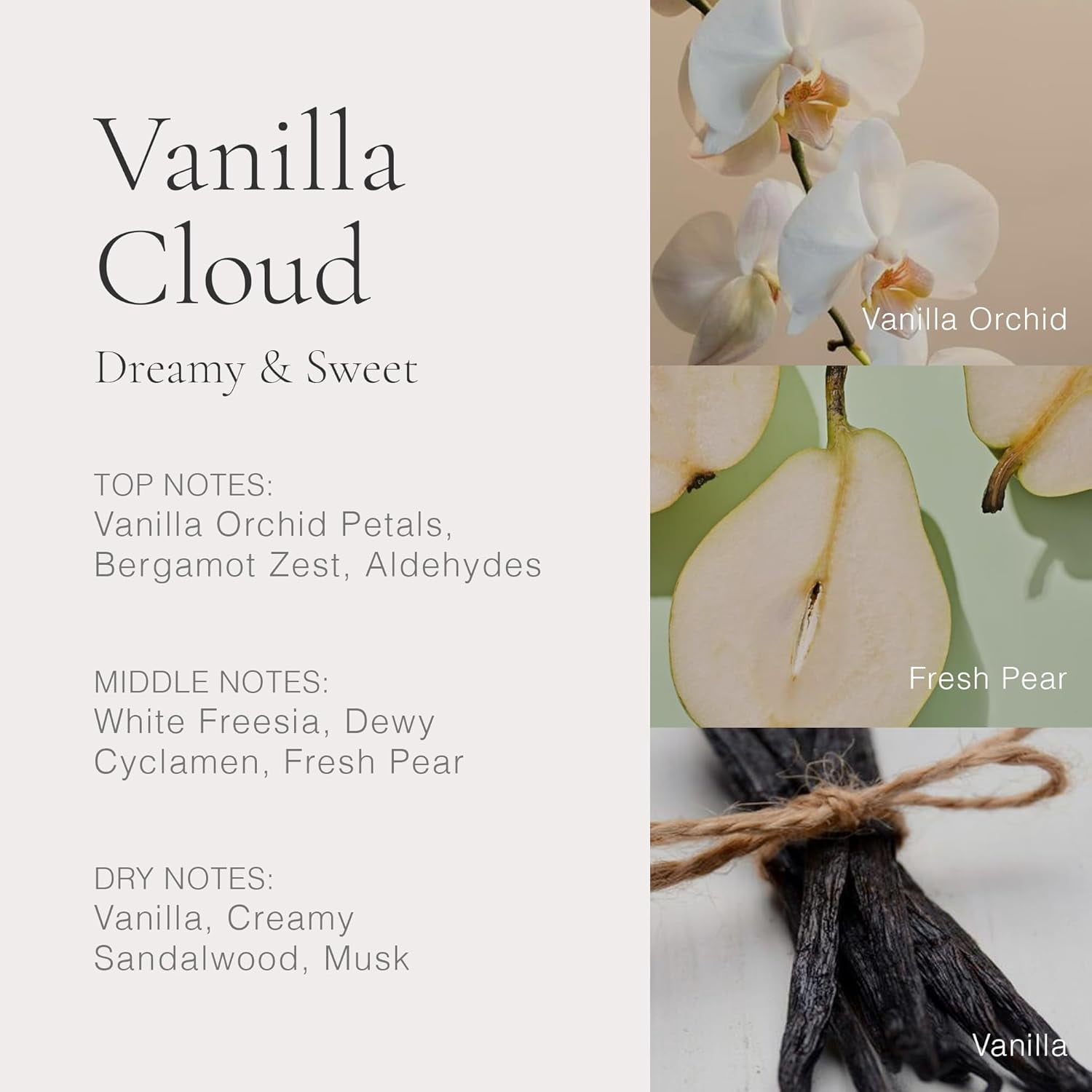 CLEAN Vanilla Cloud Eau de Parfum, Fresh Vanilla Gourmand Fragrance, Perfume for Women, 30mL