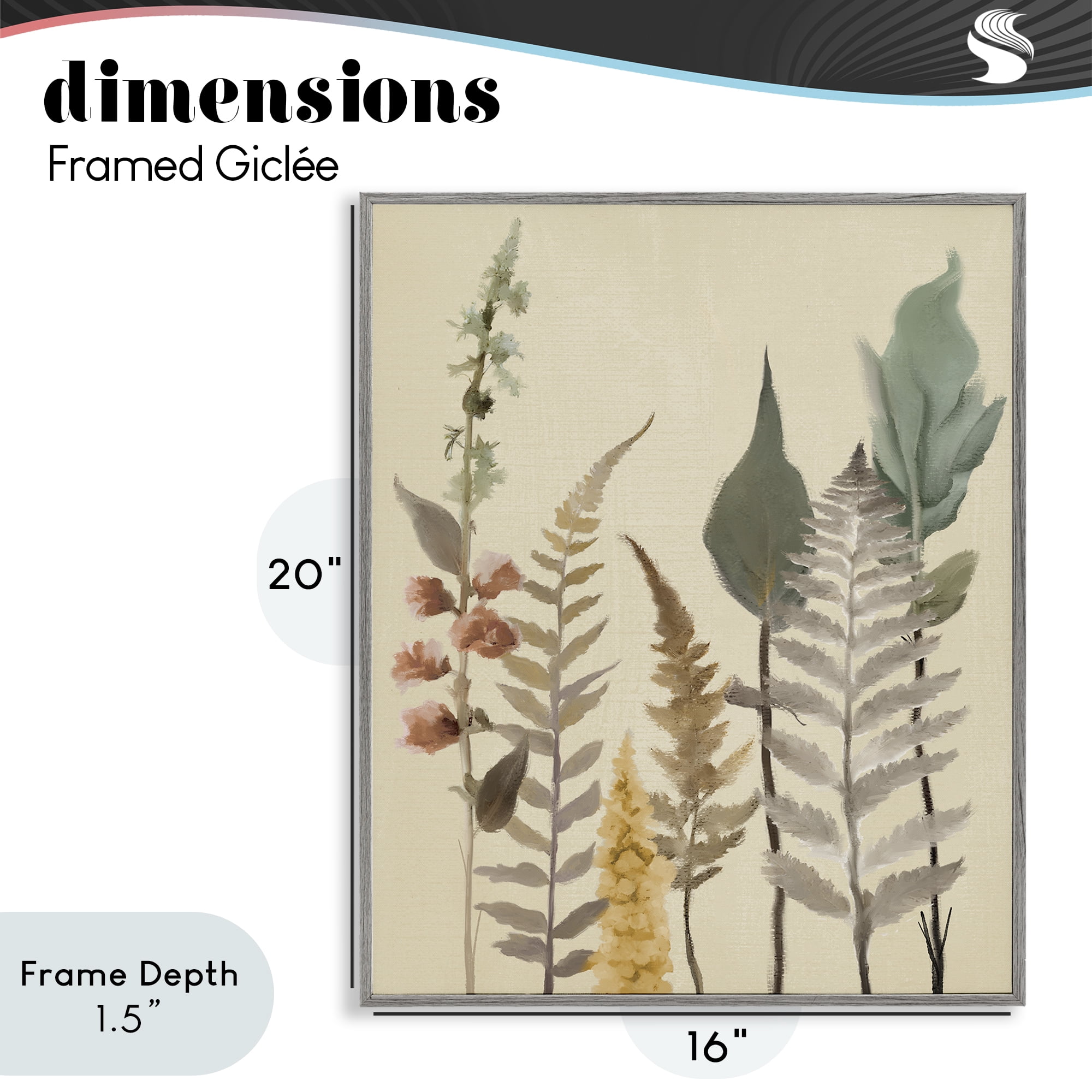 Stupell Industries Fall Botanicals Forest Ferns Gray Framed Giclee Art, design by Elizabeth Medley