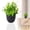E, variant on Artificial Potted Fern Plant, Small Fake Greenery Plant in Black Pot, No Fade Faux Plant for Indoor Tabletop, Home Office Desk Bathroom Shelf Decoration