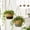 3Pcs Jute Rope Hanging Planter Under $5 a1, variant on CQCYD Jute Rope Hanging Planter, Woven Greenery Basket, Macrame Plant Holder, Decorative Storage Basket for Plants Pots, Wall Hanging Flower Pot for Living Room, Bedroom and Balcony
