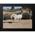 thumbnail image 2 of Peterson, Lee 18x14 Black Modern Framed Museum Art Print Titled - Happy Horse II, 2 of 5