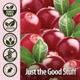 thumbnail image 3 of Nature's Answer UT Answer Cranberry Liquid, Urinary Tract Support with D-Mannose & Vitamin C, Alcohol-Free Herbal Supplement, 4 fl oz (Pack of 2), 3 of 5