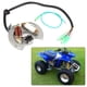 thumbnail image 1 of Bobina magnética, estator para ATV Bobina magnética Estator magnético Accesorio para ATV Diseñado para profesionales, 1 of 9