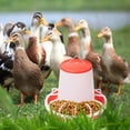 thumbnail image 2 of Comedero automático Zulema para pollos 5x dispensador de alimentos con colgante, 2 of 8