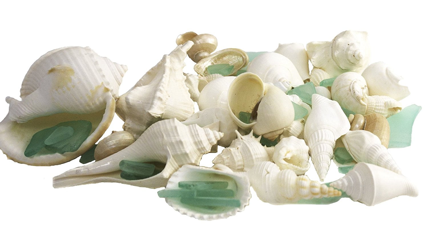 White Decorative Sea Shell and Mint Green Sea Glass