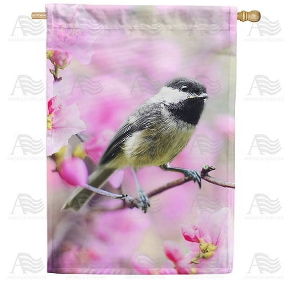America Forever Spring Bird House Flag 28 x 40 inches Double Sided Hello Spring, Chickadee, Colorful Flowers - Seasonal Yard Lawn Outdoor Decorative Apple Blossom House Flag