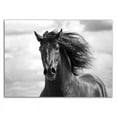 thumbnail image 3 of 25" x 18" Breath of Life by Tony Stromberg Wall Art Print on Canvas Fabric White, 3 of 3