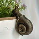 thumbnail image 1 of Snail Hanging Flower Pot Cup Decor Resin Crafts Garden Decoration Indoor Outdoor Flower Pot Ornament Cute Small Sculpture For Animals, 1 of 6