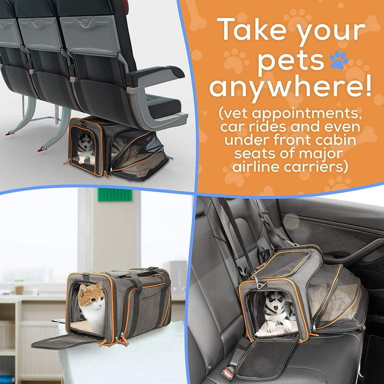 Cat Carrier Airline Under Seat