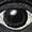 Black, variant on Optometrist Embroidered Sweatshirt, Optometry Shirt, Eye Doctor Gift, Optician Appreciation, Eye Exam Tech Hoodie, Eye Care