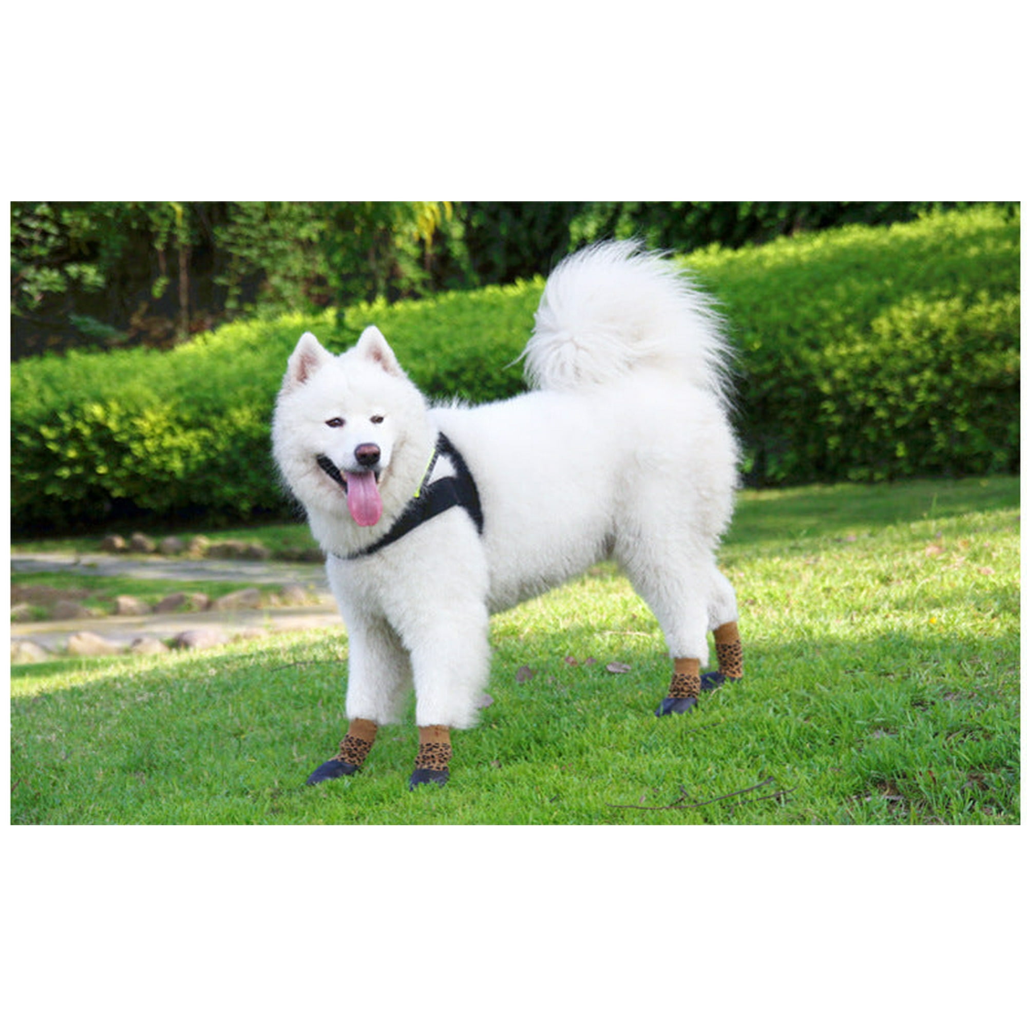 Dog slippers for wood floors sale