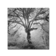 thumbnail image 2 of Moises Levy 'Lightning Tree II' Canvas Art, 2 of 4