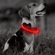 thumbnail image 4 of LightUpDogCollars-GlowingLEDDogCollar, CortableIluminadoCachorroCollar,RecargableDogWalkingLight, 4 of 5