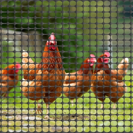 4ft x 50ft Black Plastic Mesh Fence Netting Garden Barrier for Yard, Chicken Coop & Plant Protection