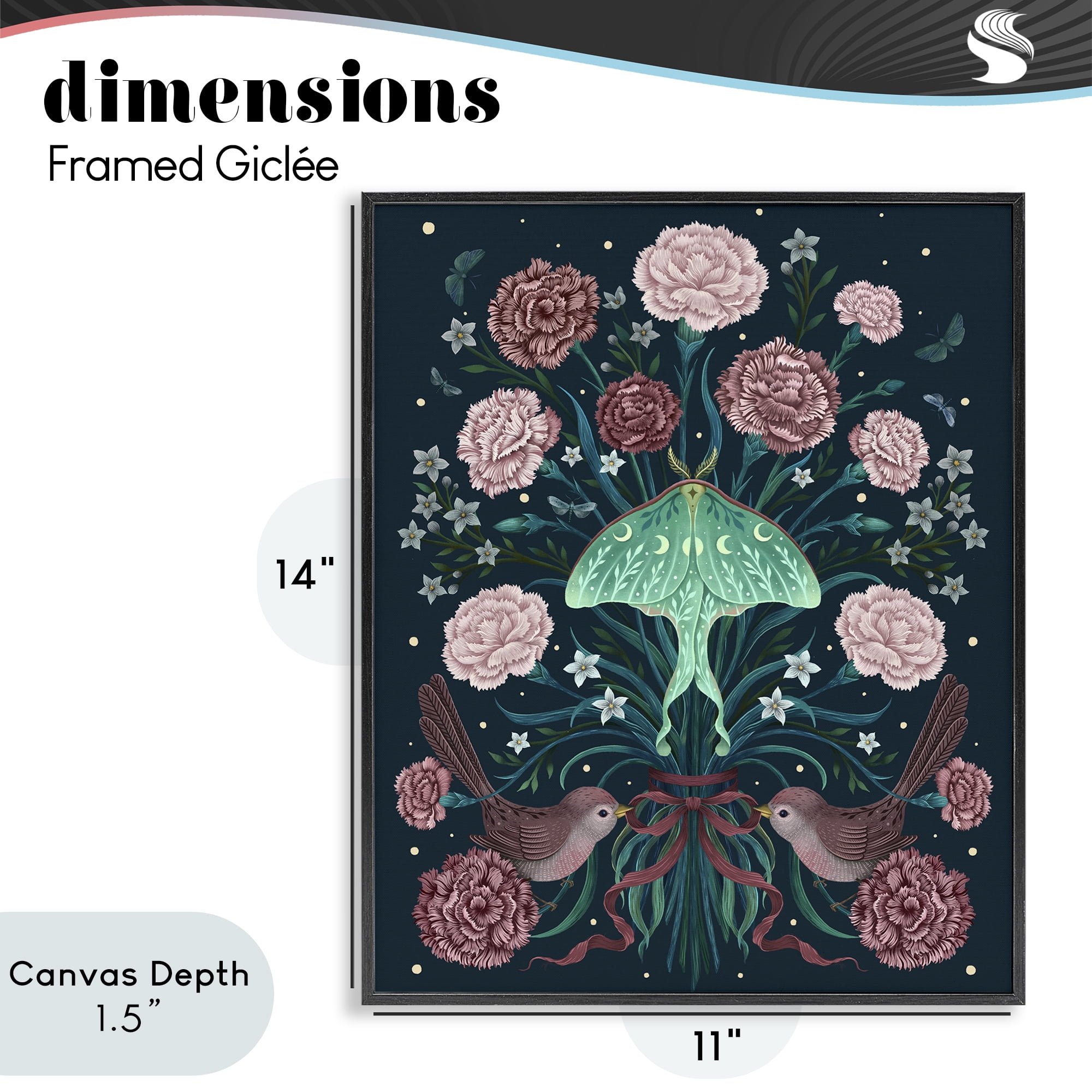 Stupell Industries January Carnations & Moth Black Framed Giclee Art, design by Episodic Drawings
