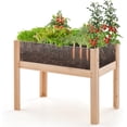 thumbnail image 1 of ZYPPPA Raised Garden Bed with Legs, 24” Elevated Planter Box with 2 Acrylic Panel Sides, Drain Holes, Movable Beds, Plant Terrarium w/Stand, Planter Raised Beds for Vegetables, Fruits, Herbs, 1 of 9