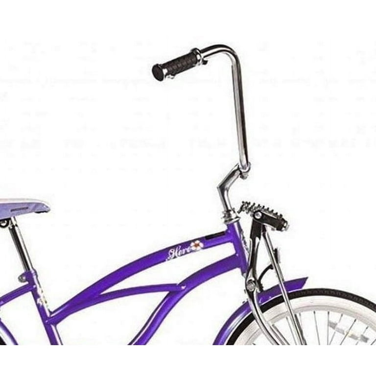 Wonder Wheels 20 In. Beach Cruiser Lowrider Coaster Brake Single Speed Bicycle Bike With Banana Seat Stainless Steel Spokes One Piece Crank Alloy