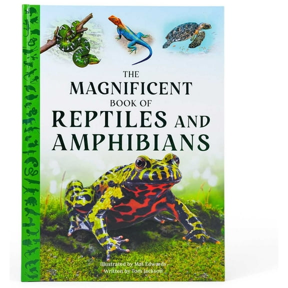 The Magnificent Book of Reptiles and Amphibians, (Hardcover)