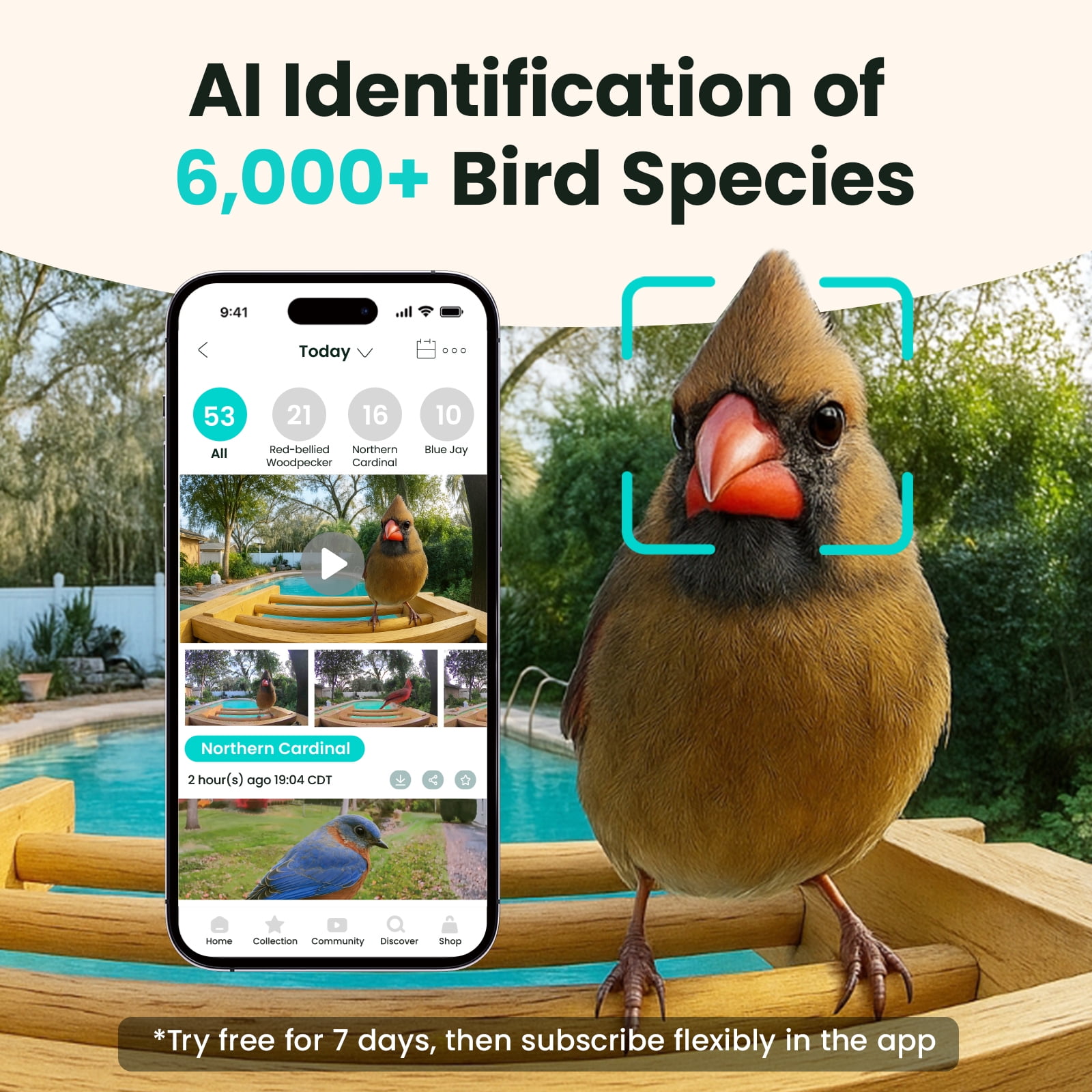 Birdfy Bird Feeder with Camera, Auto Capture Birds & Notify in Time, Powerful AI Recognition, Bamboo Wood Bird Feeder Camera, Ideal Present Gift