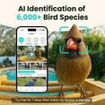 thumbnail image 4 of Birdfy Bird Feeder with Camera, Auto Capture Birds & Notify in Time, Powerful AI Recognition, Bamboo Wood Bird Feeder Camera, Ideal Present Gift, 4 of 11