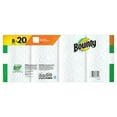 Bounty Full Sheet Paper Towel (8 Double Plus Rolls) 3700067090