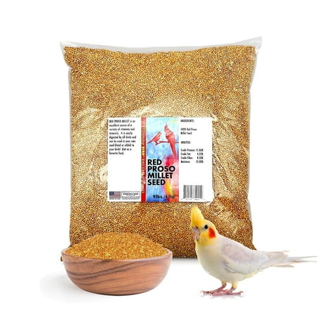Morning Bird Red Proso Millet Bird Seed Bag 9 lbs – Healthy & Nutritious Pet Bird Food is Ideal for Seed Eating Birds - Parakeets, Finches, Cockatiels