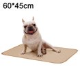 thumbnail image 2 of Cute reusable absorbent dog training urinal pad, 2 of 5
