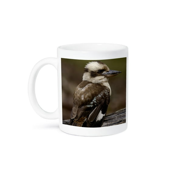 3dRose, Laughing kookaburra bird, Stradbroke Island, Australia-AU01 POX0046 - Pete Oxford, 15oz Mug