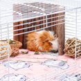 thumbnail image 6 of Waterproof Guinea  Cage Liner with Cute Digital Print, Large Size Reusable Bedding for Small Pets, 6 of 7