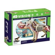 4D Vision Scorpion Anatomy Model4D Vision Dog Anatomy Model