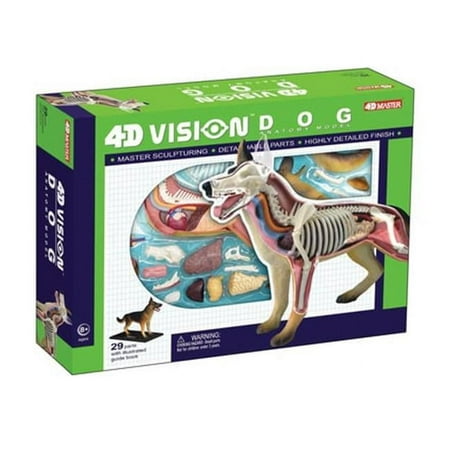 4D Vision Scorpion Anatomy Model4D Vision Dog Anatomy Model