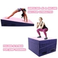 thumbnail image 2 of Gymnastics Wedge Mats 60" X 30" X 14" Folding for Home Use | Incline Mat Cheese Wedge With Zip Fastener, Waterproof Vinyl Cover, EPE Foam for Exercise, Tumbling, Yoga, Pilates, Pink & Dark Blue, 2 of 7