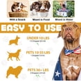 thumbnail image 4 of Dog Allergy Relief Drops with Elderberry and Vitamin C Seasonal Allergies, Skin & Coat Immune Support 2 fl oz, 4 of 10