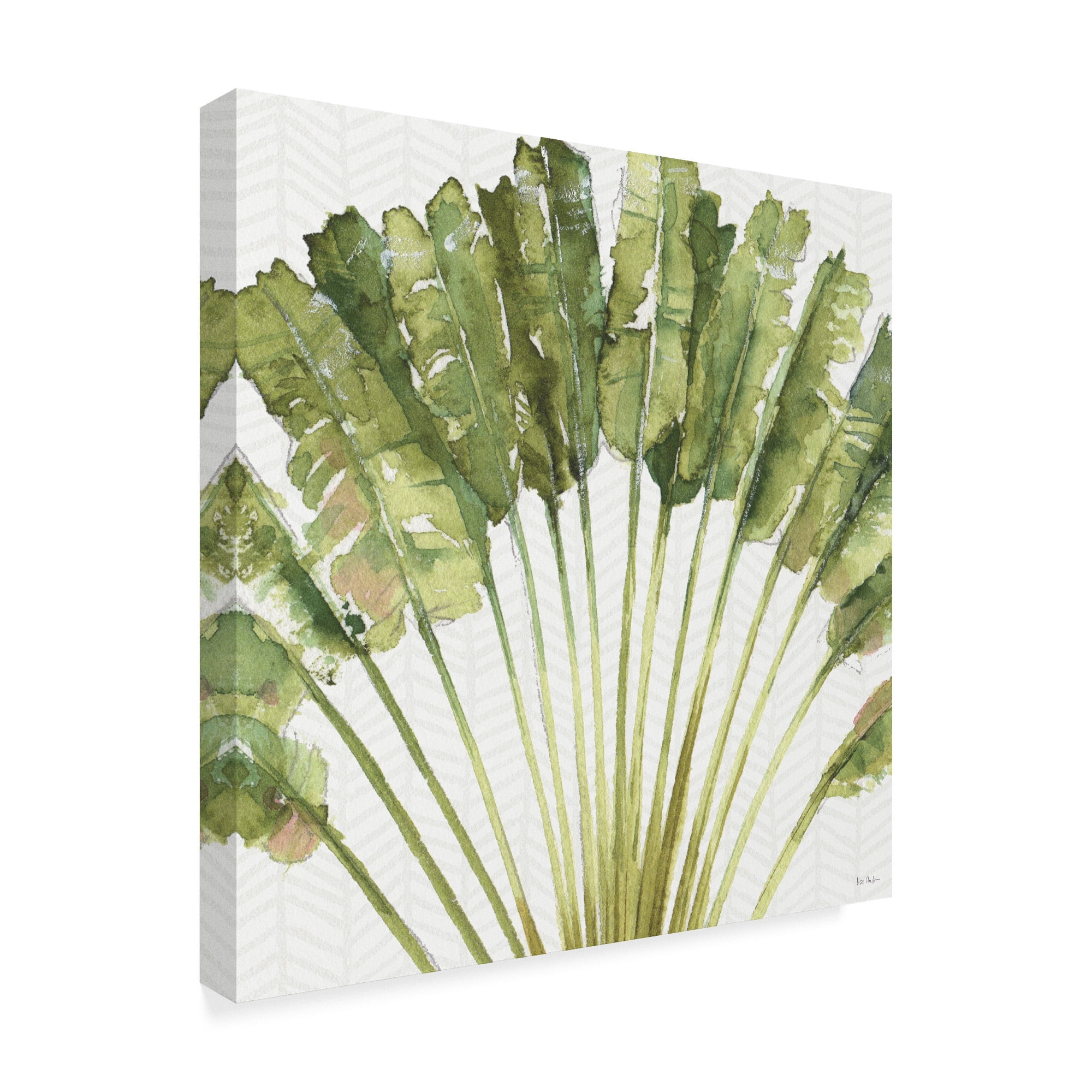 Trademark Fine Art 'Mixed Greens VIII' Canvas Art by Lisa Audit