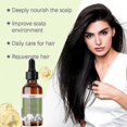 thumbnail image 4 of Hoegoa Rosemary Hair Care Essential Oil Hair Nourishing Scalp Care Hair Moisturizing Hair Care, 4 of 4