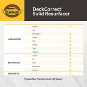 Cabot Creamery Deckcorrect Exterior Stain Tint Base - Durable Acrylic - 5 Gal Multicolor