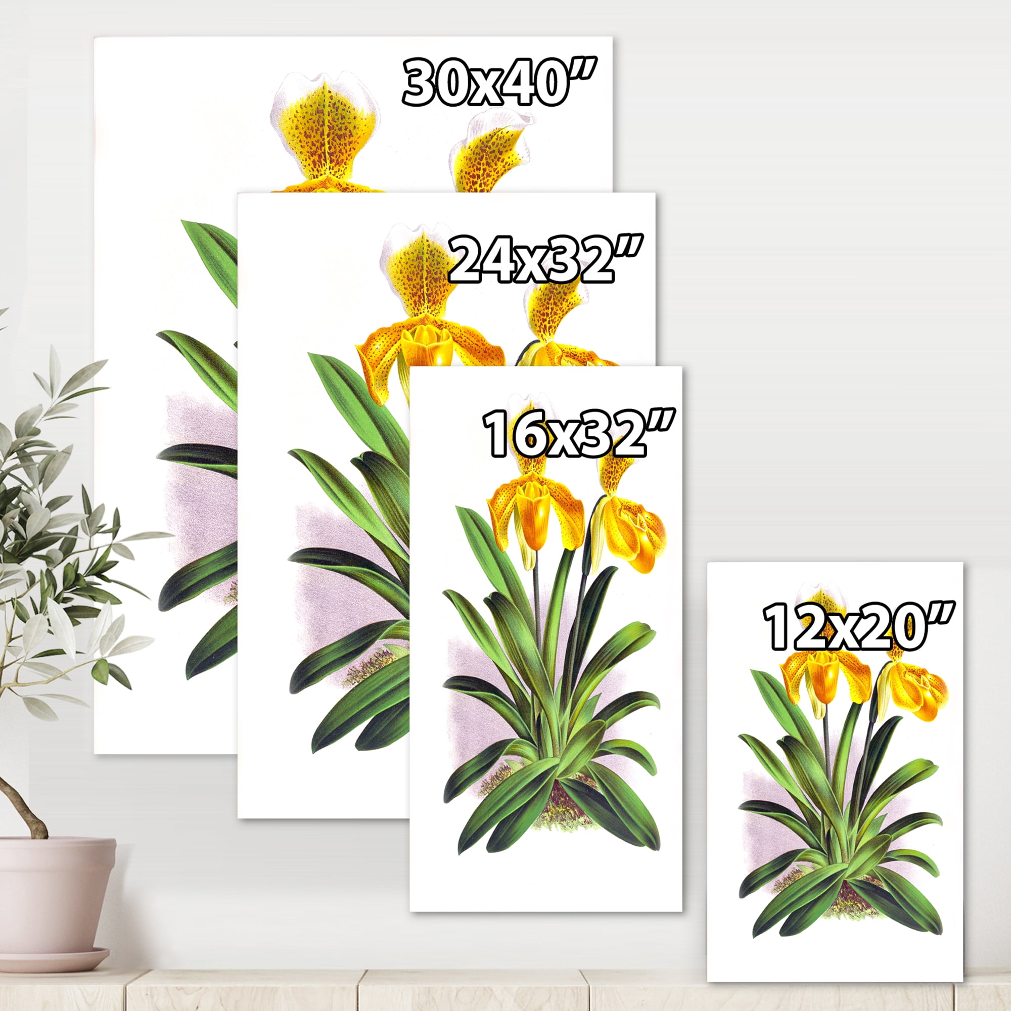 Designart ' Yellow Vintage Orchid ' Traditional Canvas Wall Art Print