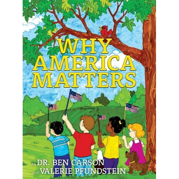 Pre-Owned Why America Matters (Paperback) 1737868415 9781737868415