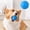 Blue, variant on Interactive Squeaky Ball Dog Toy Soft Rubber, Chew Ball with Textured Look for Puppy, Colorful Pet Play Toy for Small to Medium Dogs 2.4 Inch