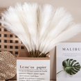 thumbnail image 2 of ievspot 1 Set Artificial Dry Reed Feather Reed Fluffy False Bristle Brush for Floor Vase Bohemian Farmhouse Home Decoration, 2 of 8