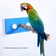 thumbnail image 5 of Estante De Pie Para Loros, Estante De Pie Para Pájaros De Usos Múltiples, Estante De Pie Para Pájaros Para Viajes Al Aire Libre Para Pájaros Y Mascotas ANGGREK IBCW01, 5 of 8