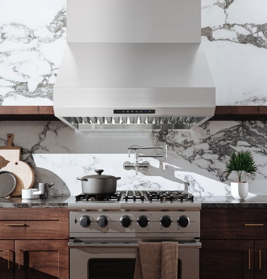 Hauslane | PRO Series PRO500 30" | Versitile Under Cabinet or Wall Mounted Range Hood | with Smart App Control and LED in Stainles Steel