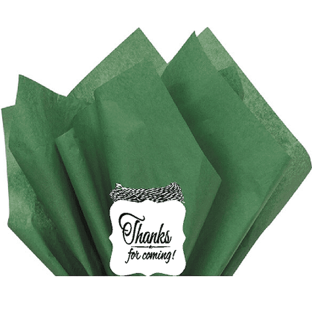 48Sheets Holiday Green 20&Amp;Quot; X 30&Amp;Quot;Large Gift Wrap &Amp; Large Flower Decoration Crafting Color Tissues ...